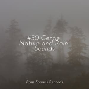 #50 Gentle Nature and Rain Sounds - Nature Sound Series