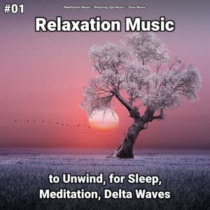 #01 Relaxation Music to Unwind, for Sleep, Meditation, Delta Waves - Meditation Music