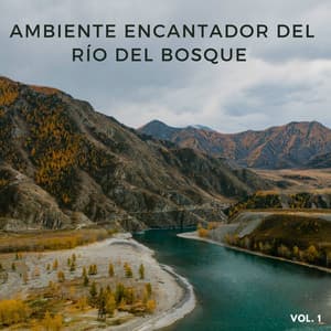 Ambiente Encantador Del Río Del Bosque Vol. 1 - Rios y corrientes