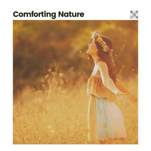 Comforting Nature - Nature Of Sweden