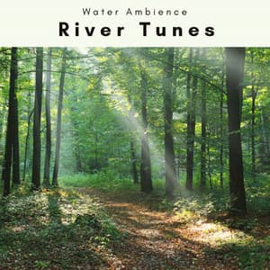 2 0 2 2 River Tunes - Water Ambience