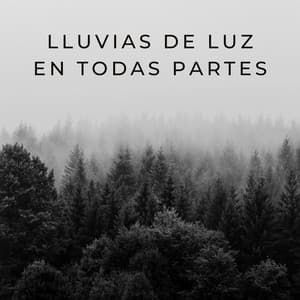 Lluvias De Luz En Todas Partes - Lluvia Soundzzz Club
