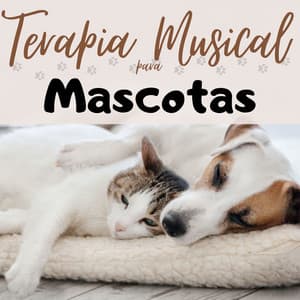 Terapia Musical para Mascotas: Canciones de Cuna para Perros y Gatos - Thiago Mascotas