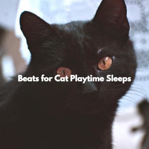 Beats for Cat Playtime Sleeps - Brunch Jazz