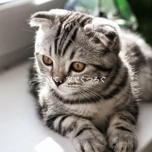 眠て、家でくつろぐ - Coffee Shop Lounge Music