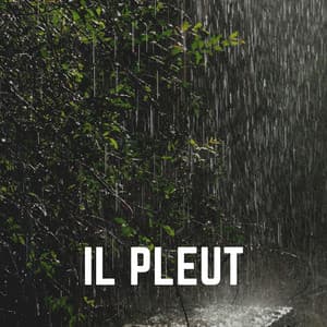 Il Pleut - Hi-Def FX