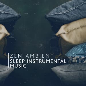Zen Ambient Sleep Instrumental Music: Gentle Melodies, Insomnia Relief, No More Trouble Sleeping, Sleep All Night Long - Beautiful Deep Sleep Music Universe