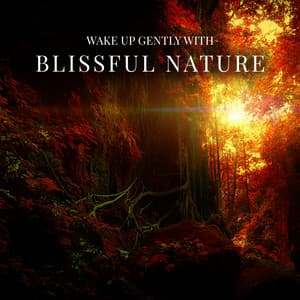 Wake Up Gently with Blissful Nature - Zen Natural Sounds