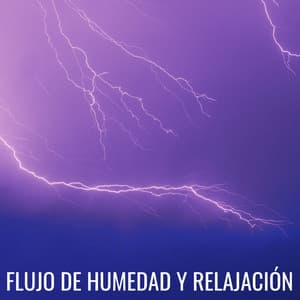 Flujo De Humedad Y Relajación - Grabación de lluvia