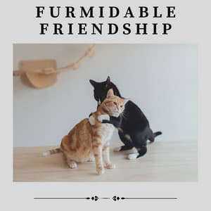 Furmidable Friendship - Music for Cats Peace