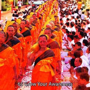 65 Grow Your Awareness - White Noise Meditation
