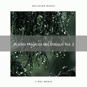 1 Ruidos Mágicos del Bosque vol. 2 - Sonidos de la Naturaleza para Dormir