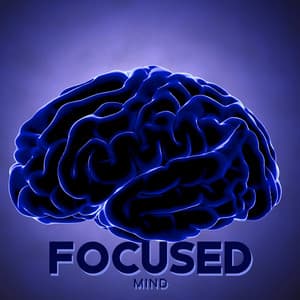 Focused Mind - Tranquility Spa Universe