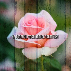 18 Peaceful Yoga Nature Treatment - Sleep Songs with Nature Sounds
