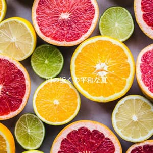 川の近くの平和な夏 - Hotel Lobby Music Background Music