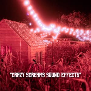* Crazy Screams Sound Effects * - The Haunted House of Horror Sound Effects