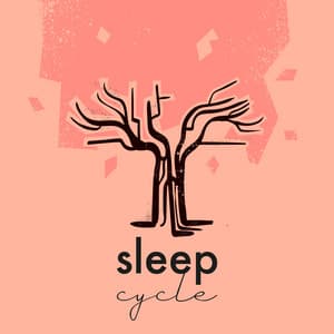 Energía en Movimiento: Ritmos de Yoga - Ciclo De Dormir