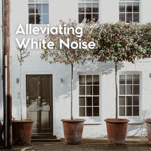 Alleviating White Noise - Loopable White Noise