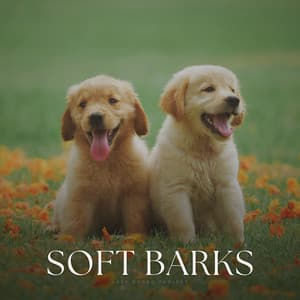Soft Barks - Dog Calming Music