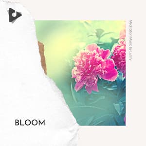 Bloom - Meditation Music by Lullify