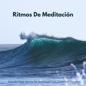 Olas De Playa: Ritmos De Meditación Con Lluvia Para Perros - Agradecida por la lluvia