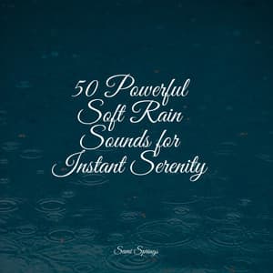 50 Powerful Soft Rain Sounds for Instant Serenity - Relaxing Nature Ambience