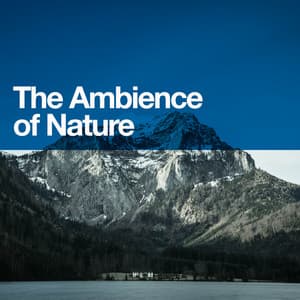 The Ambience of Nature - Ambiance nature