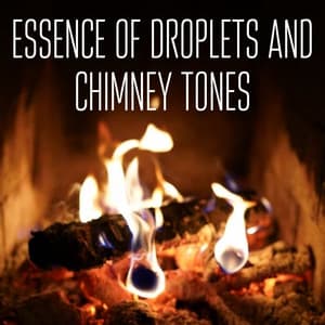 Essence of Droplets and Chimney Tones - Relaxation