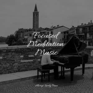 Easy Piano Melodies for a Relaxed Mind - Piano for Studying