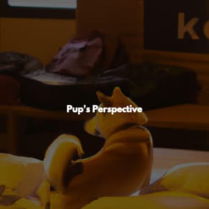 Pup's Perspective - Weekend Morning Jazz