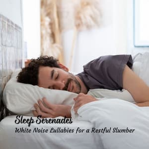 Sleep Serenades: White Noise Lullabies for a Restful Slumber - Deep Sleep White Noise