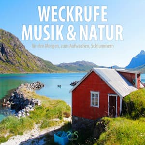 Weckrufe Musik und Natur für den Morgen: Zum Aufwachen und Schlummern - Torsten Abrolat