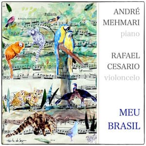 Meu Brasil - André Mehmari