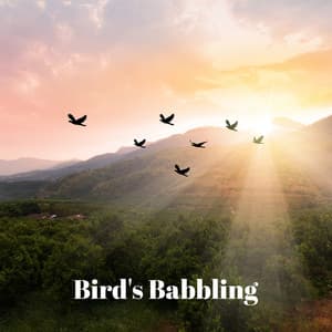 Bird's Babbling: Nature Sounds, Birdsong Therapy, Stress Relief, Relaxation & Balance Time - Harmony Nature Sounds Academy