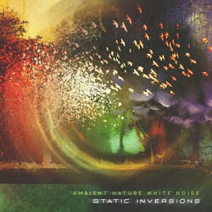 Static Inversions - Ambient Nature White Noise