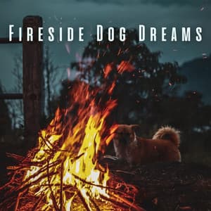 Fireside Dog Dreams: Calming Piano Chill Music for Relaxed Dogs - The Piano Lounge Players