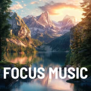 Woodland Focus Vibes Calm and Concentration - Focus Music