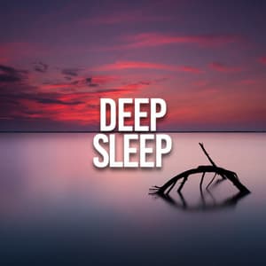 Deep Sleep - ASMR Rain Sounds