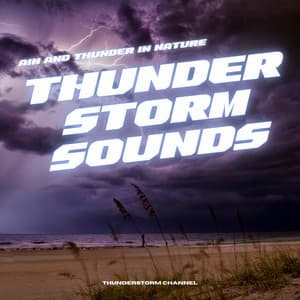 Thunderstorm Sounds: Rain and Thunder in Nature - Thunderstorm Channel