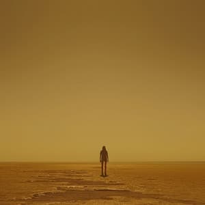 Paisajes Sonoros Relajantes: Música Para El Alivio Del Estrés - Paisajes de alegría