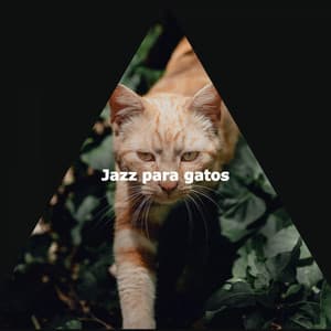 Jazz para gatos - Música Chill para Cafés