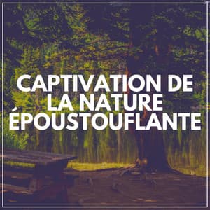Captivation de LA Nature Époustouflante - Sons de la nature