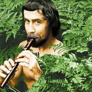 Imanta Kalniņa dziesmu instrumentālie pavadījumi - Imants Kalniņš