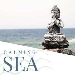 Calming Sea: Blue Sky, Sun and Beach, Relaxing Sounds for Meditation, Yoga, Reading, Sleep, Study and Learn - Soothing Music for Sleep Academy