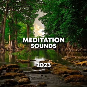 Meditation Sounds 2023 - Nature Ambience
