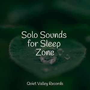 Solo Sounds for Sleep Zone - Nature Noise