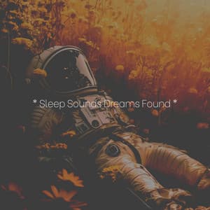 * Sleep Sounds Dreams Found * - Calm Music Zone