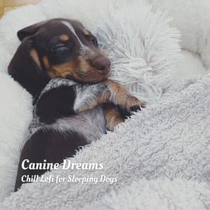 Canine Dreams: Chill Lofi for Sleeping Dogs - Shaman