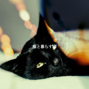 猫と暮らす家 - Hotel Jazz Music