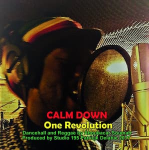 One Revolution - Calm Down